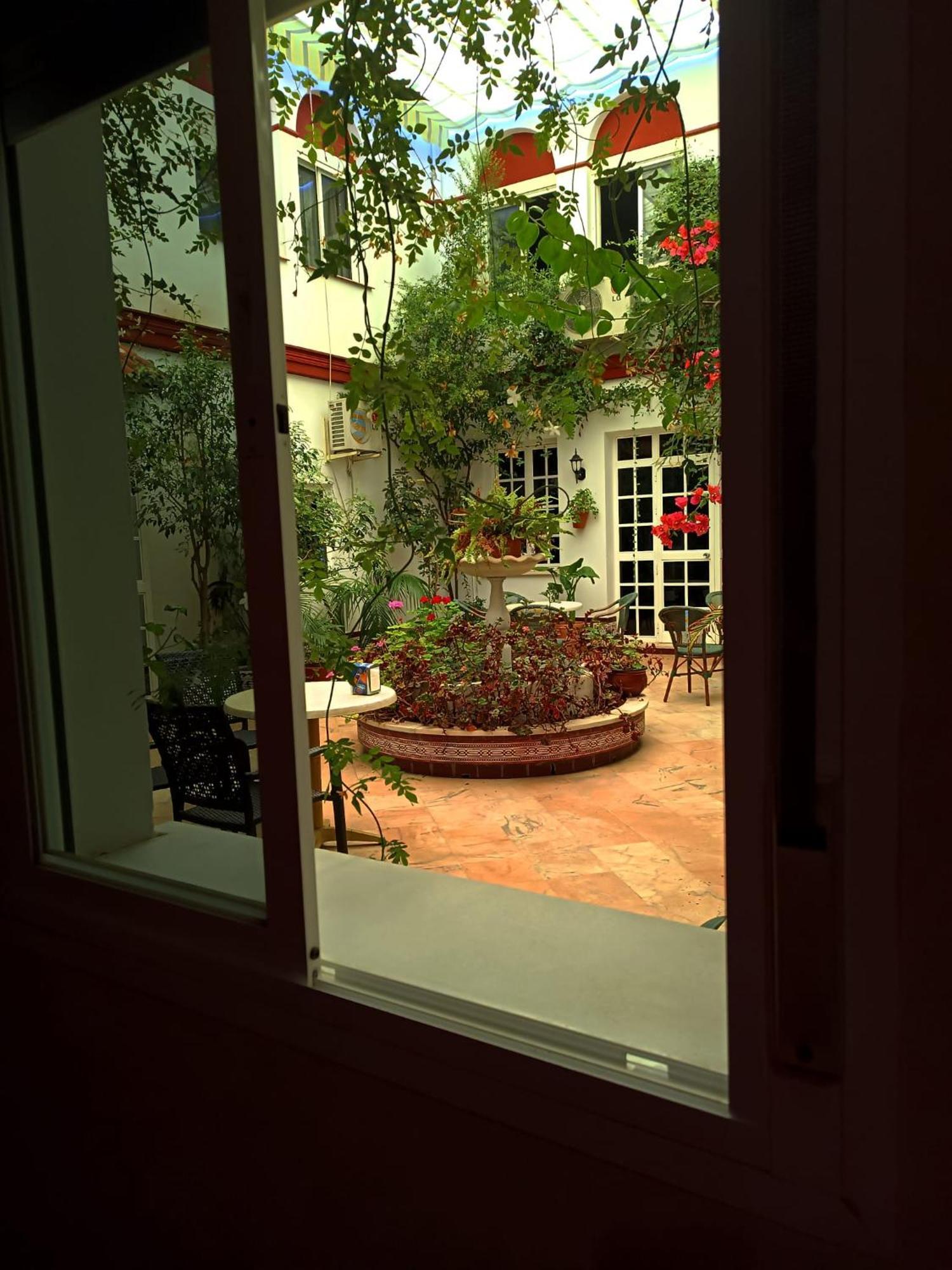 Hostal El Lirio بويويوس بار ديل كوندادو المظهر الخارجي الصورة