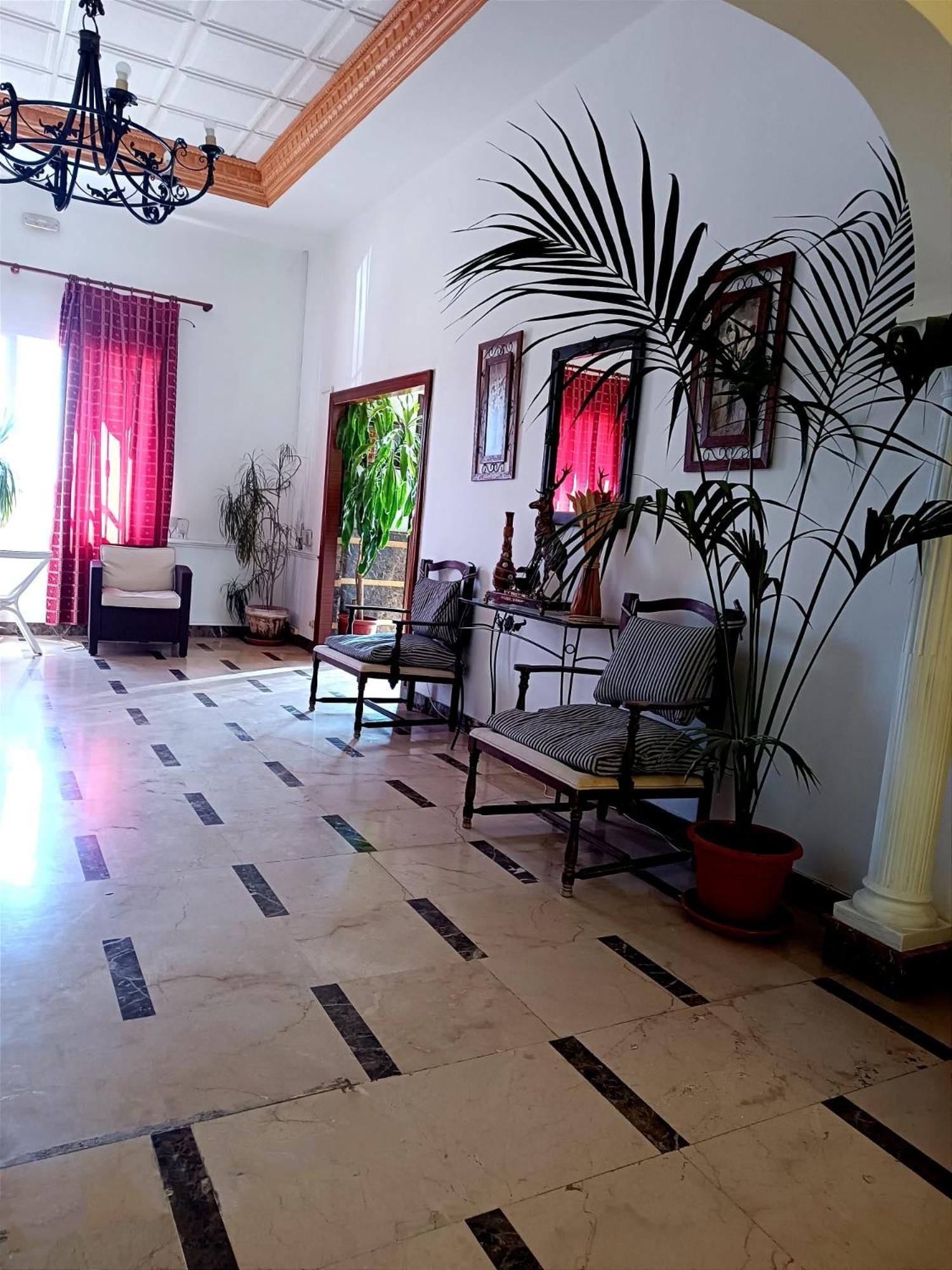 Hostal El Lirio بويويوس بار ديل كوندادو المظهر الخارجي الصورة